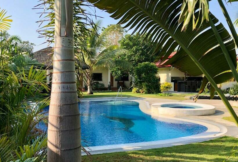 فندق Strutz Art Garden Resort