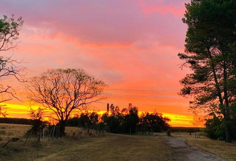 민박 Estancia Turística El Ombú
