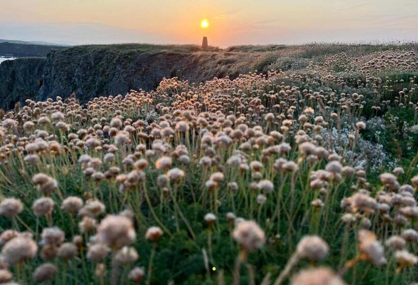 민박 Thistledown Lodge