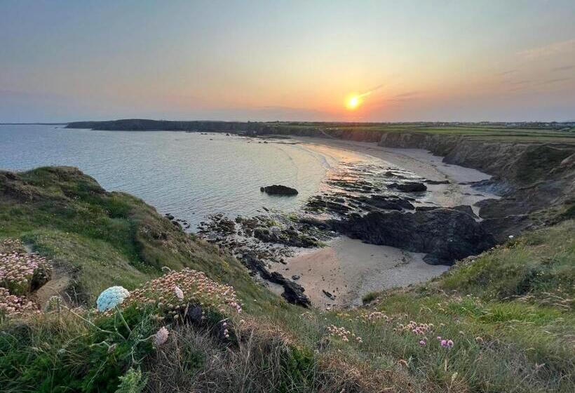 민박 Thistledown Lodge