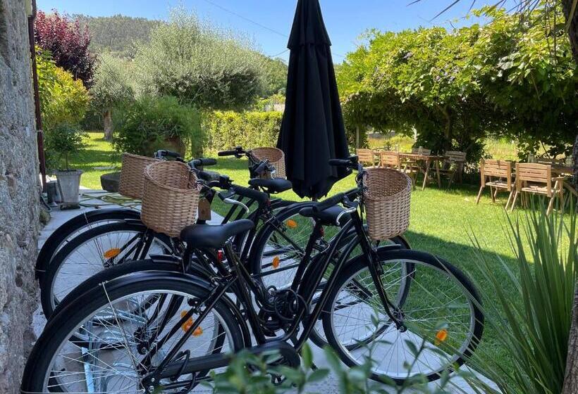 ベッドアンドブレックファースト Villa D’aurora Country Suites