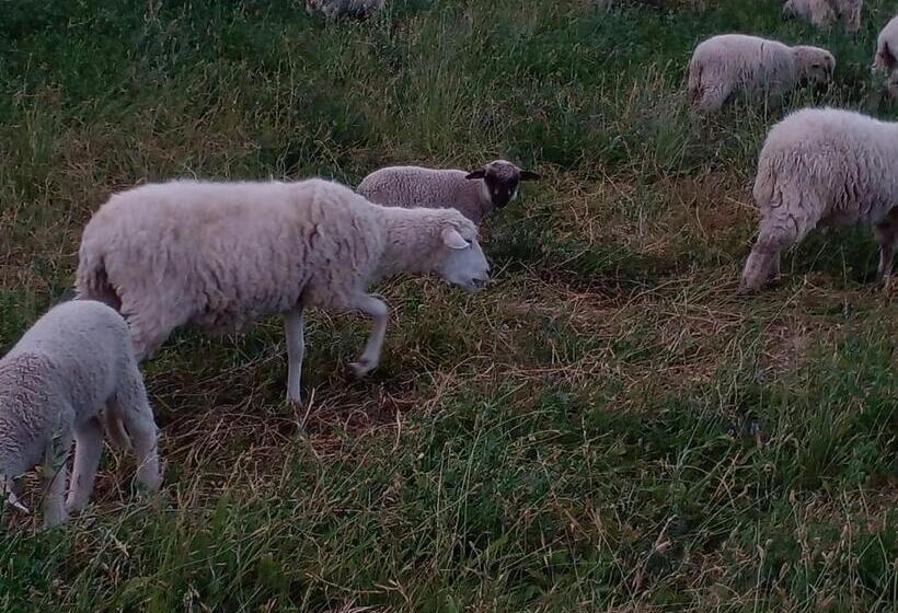 Complejo Los Enamorados