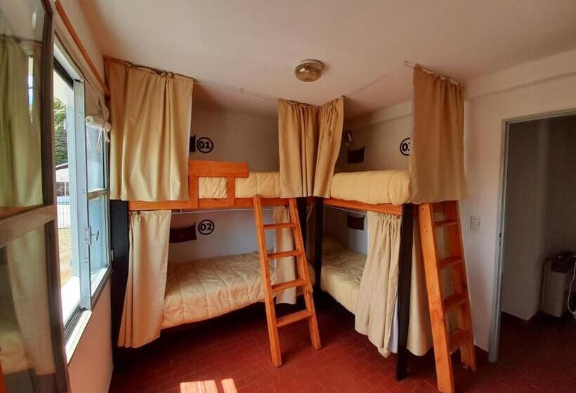 Hostel House 64bigüa