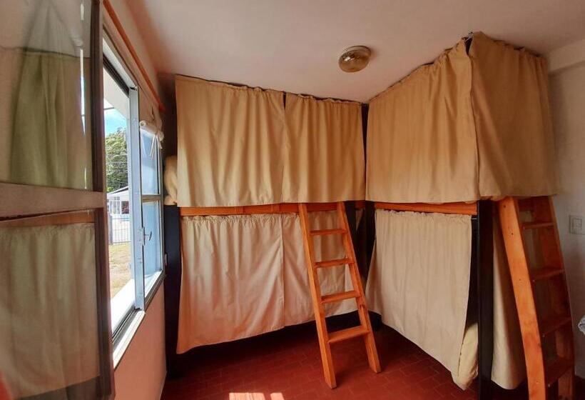 Hostel House 64bigüa