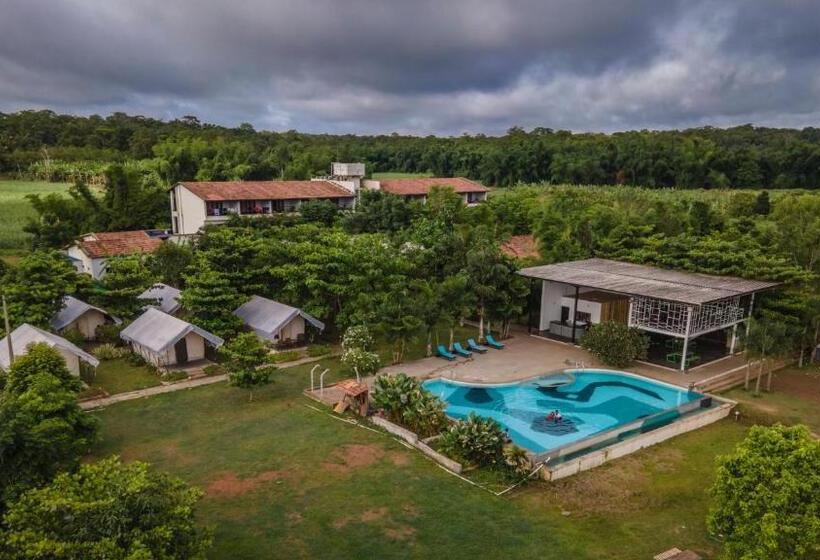 בית מלון כפרי Dandeli Tiger Cottages