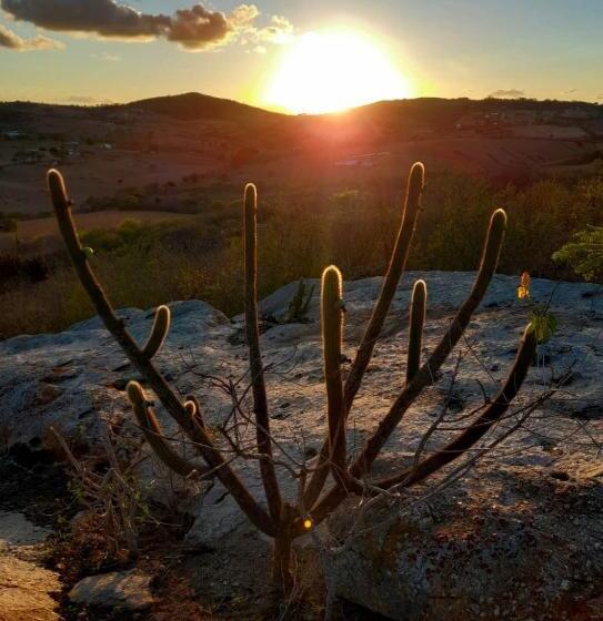 酒店 Fazenda Terra Bonita Passeios A Cavalo E Trilhas