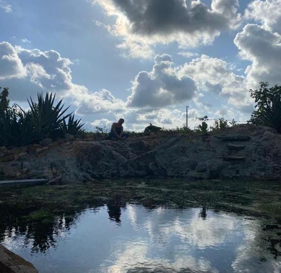 酒店 Fazenda Terra Bonita Passeios A Cavalo E Trilhas