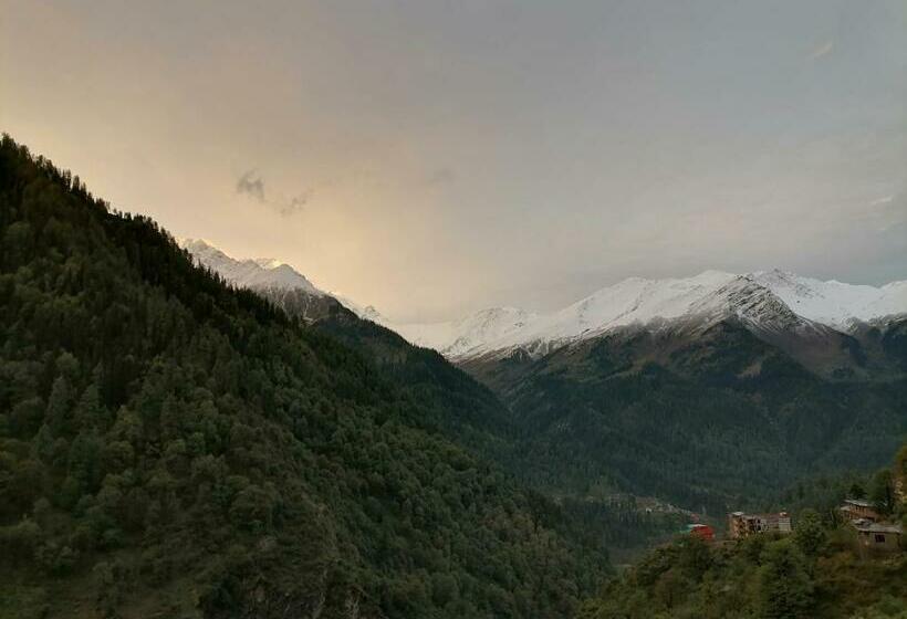 Отель Café Kush