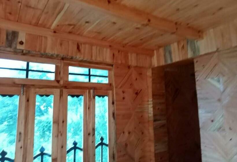 Отель Café Kush