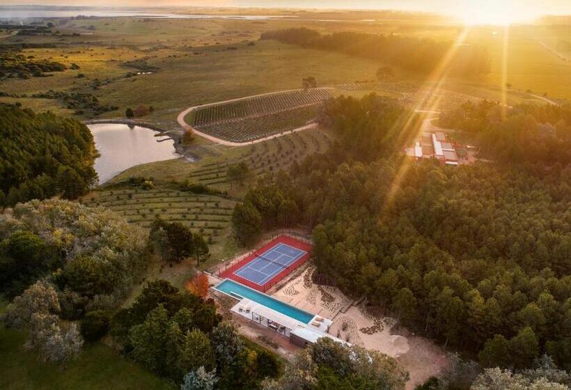 هتل Luz Culinary Wine Lodge