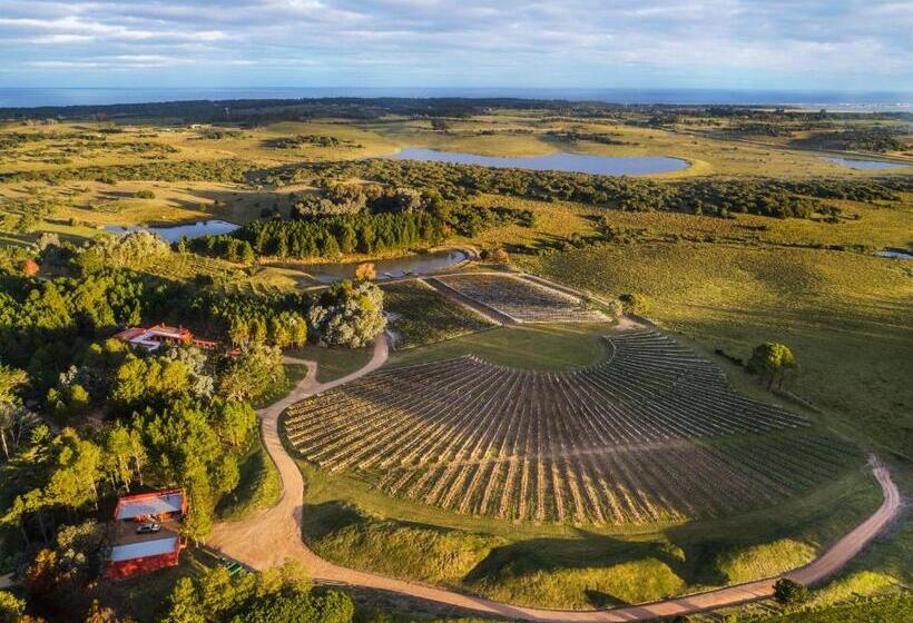 هتل Luz Culinary Wine Lodge