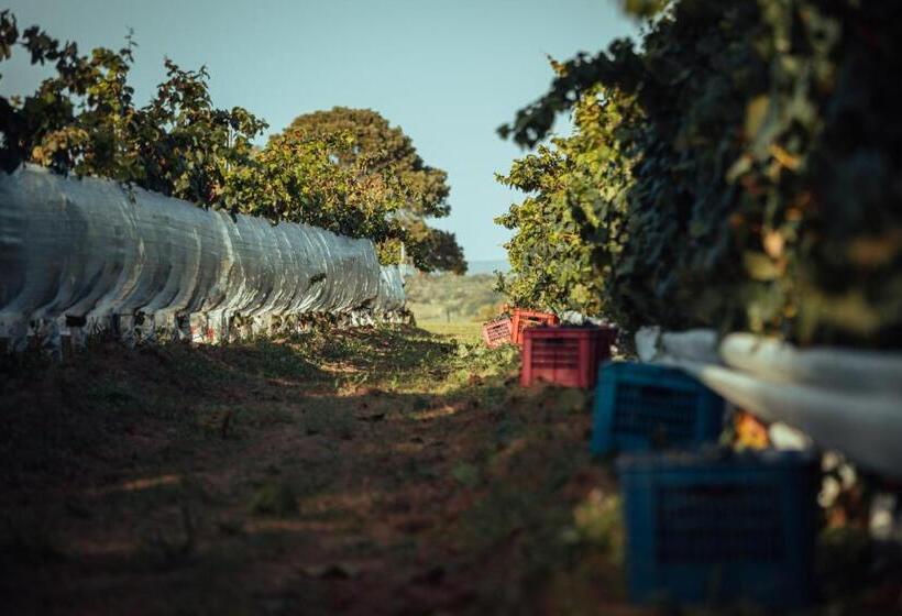 هتل Luz Culinary Wine Lodge