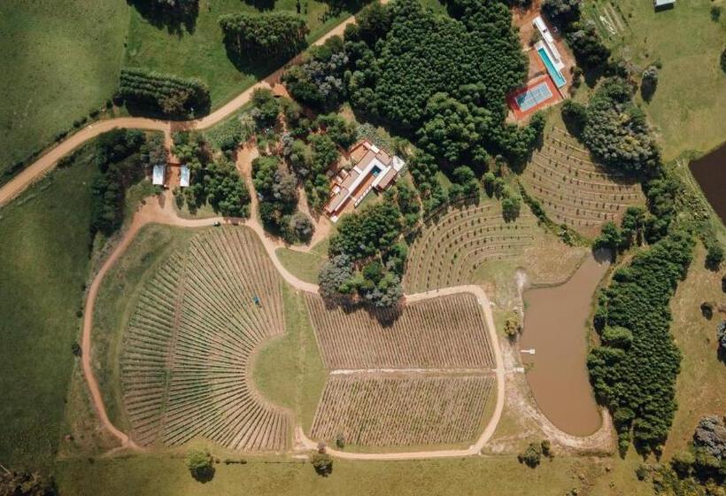 هتل Luz Culinary Wine Lodge