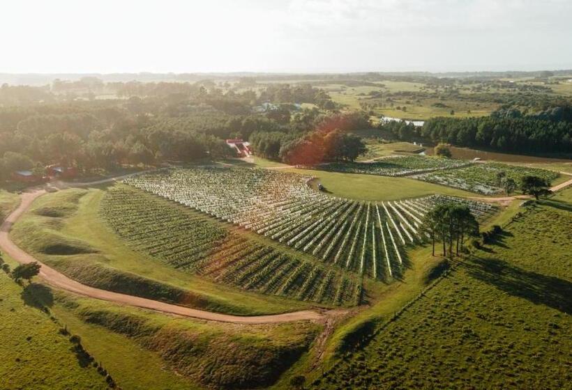 هتل Luz Culinary Wine Lodge