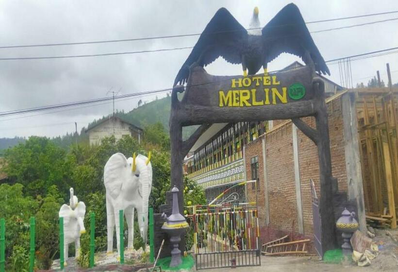 Отель Oyo 90661 Merlin