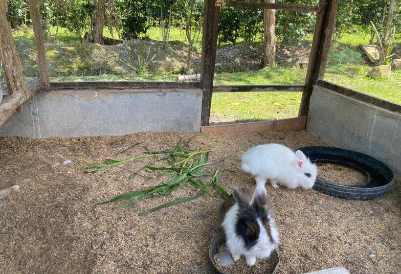 פנסיון Cabaña La Guitarra