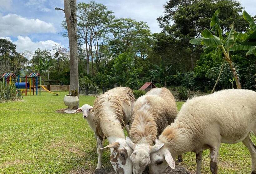פנסיון Cabaña La Guitarra