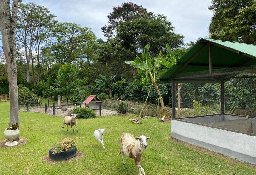 פנסיון Cabaña La Guitarra