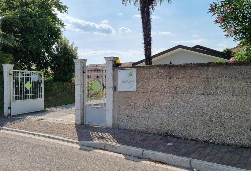 بنسيون Ginkgo Guest House