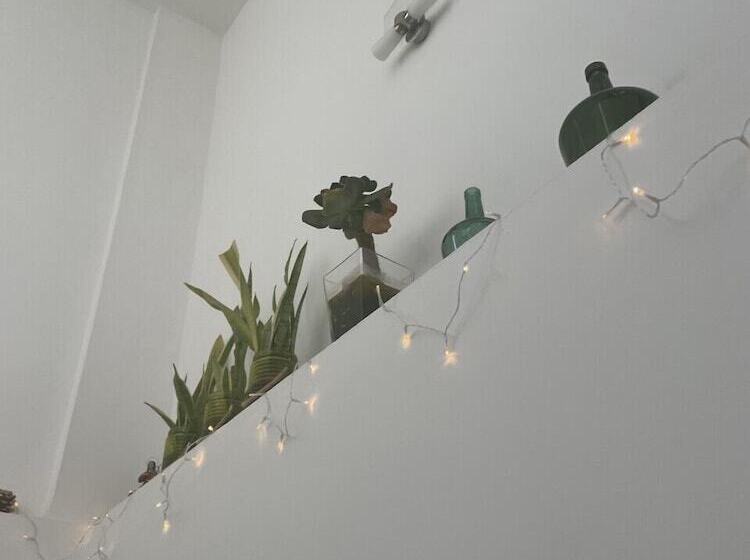 پانسیون Hostal Fleming