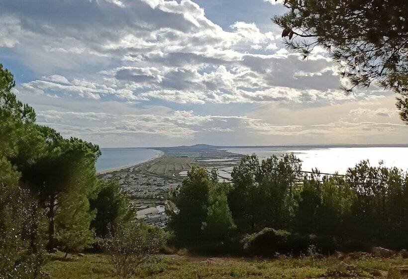 פנסיון La Maison Verte Sete