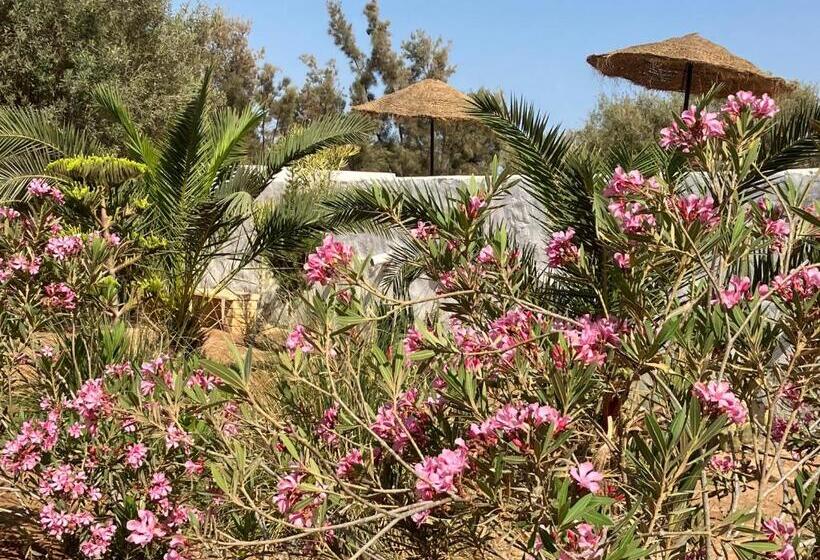 פנסיון Maison D Hote Domaine El Manar