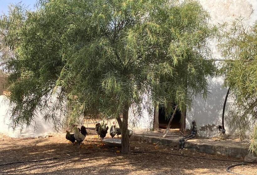 פנסיון Maison D Hote Domaine El Manar