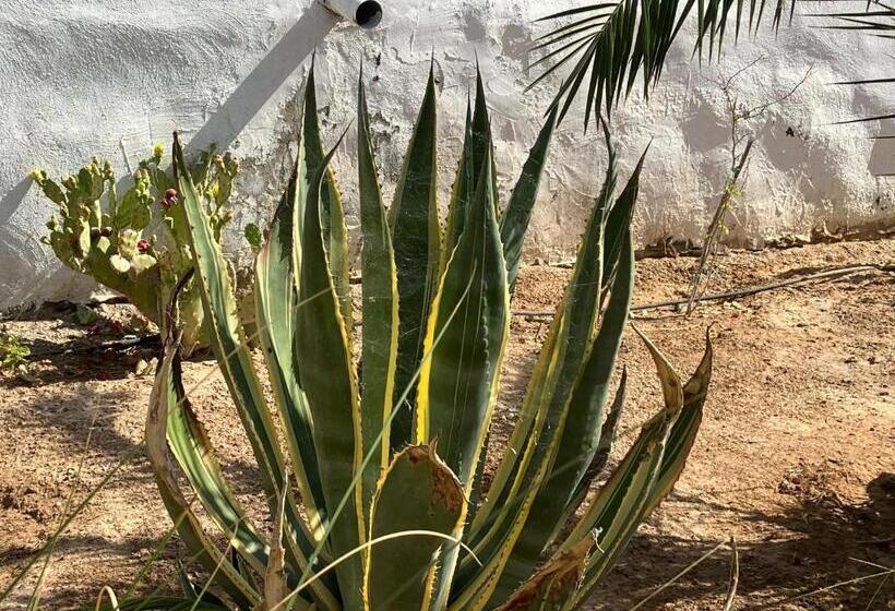 פנסיון Maison D Hote Domaine El Manar