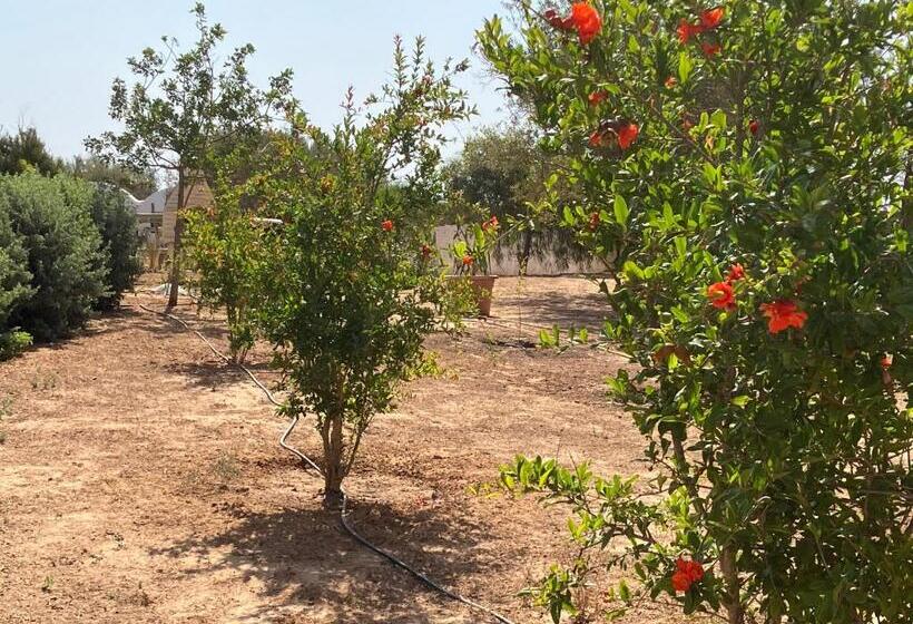 פנסיון Maison D Hote Domaine El Manar