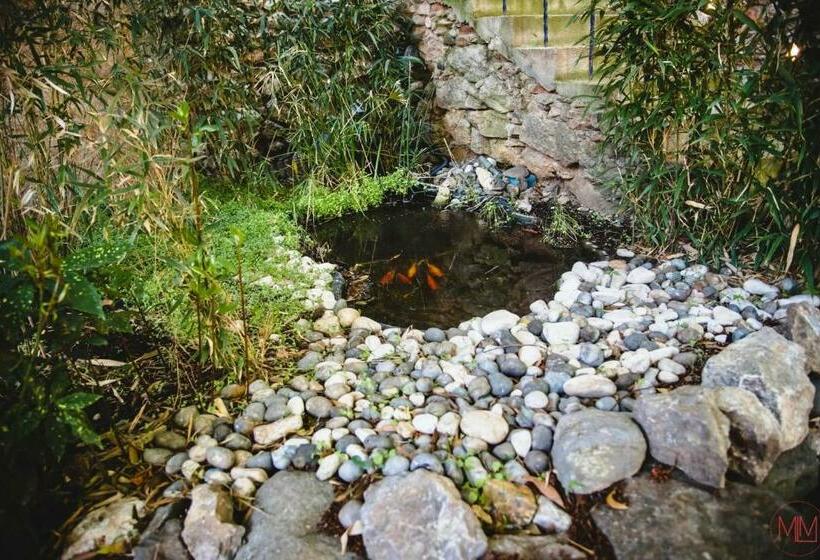 Пансион Origines