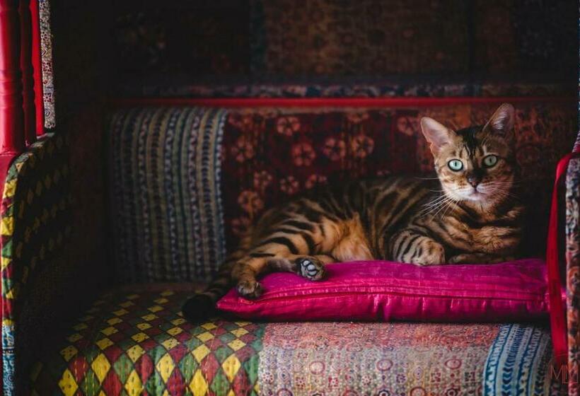 Пансион Origines