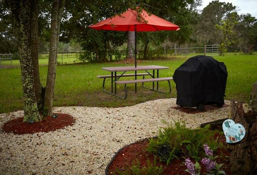 بنسيون Room In Apartment   Pleasant Days Bb Manatee Room