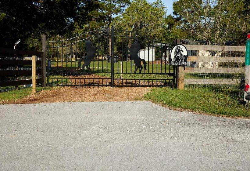 بنسيون Room In Bb   Pleasant Days Bb Tropical Master Suite