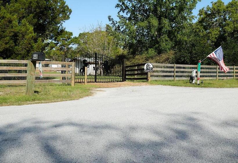 بنسيون Room In Bb Pleasant Days Bb Tropical Master Suite