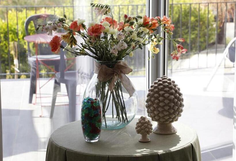 צימר Assabinirica