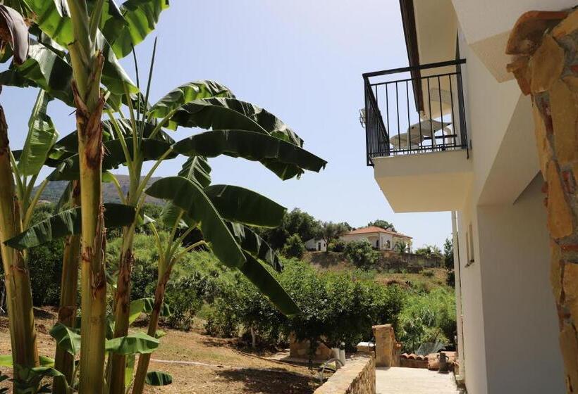 צימר Assabinirica