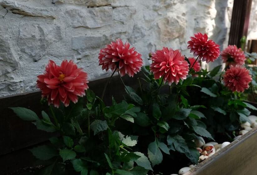 צימר Konak Bi̇ndalli