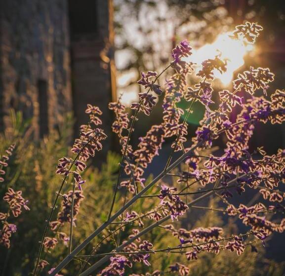 ホテル Agriturismo Pensieri Di Cavatina