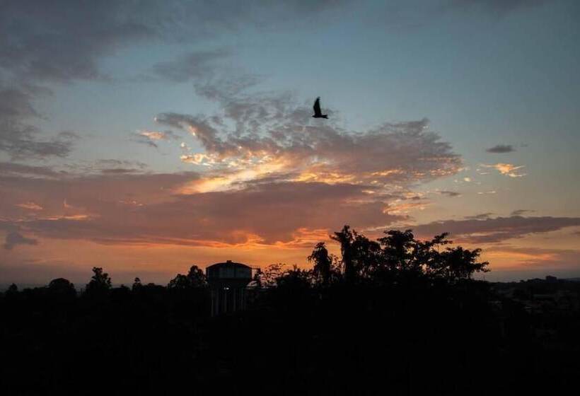 בית מלון כפרי Alaya