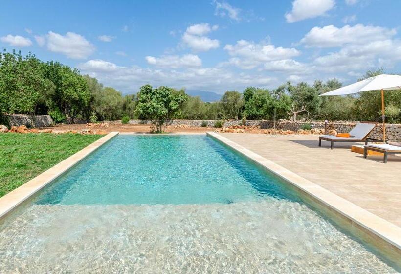 호텔 Cal Tio 2 Agroturismo Yourhouse