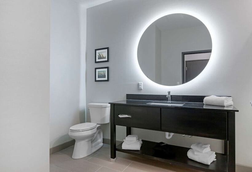 فندق Comfort Inn & Suites Adrian