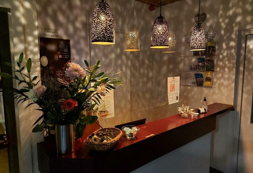 בית מלון כפרי De Zwaan