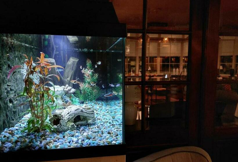 בית מלון כפרי De Zwaan