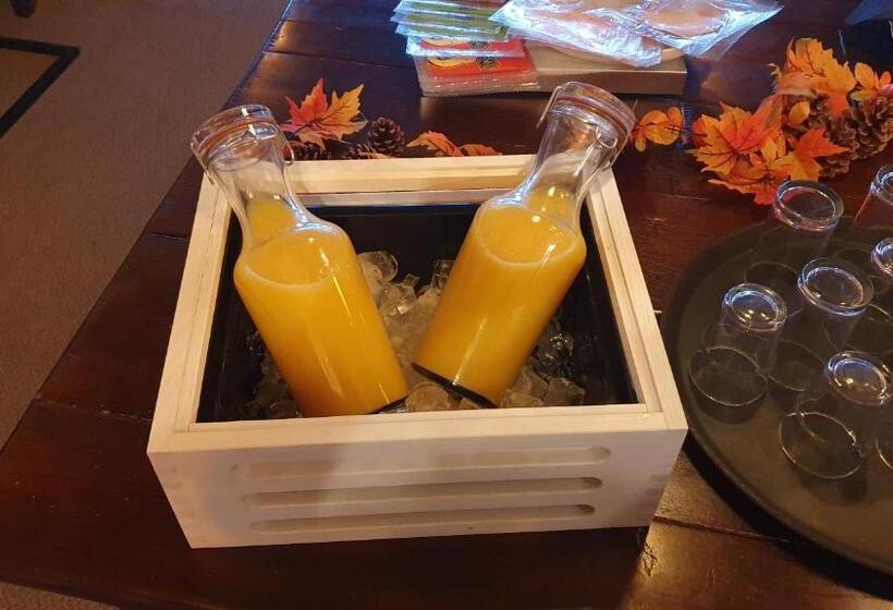 בית מלון כפרי De Zwaan