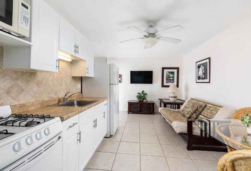 فندق Gulf View Waterfront Resort