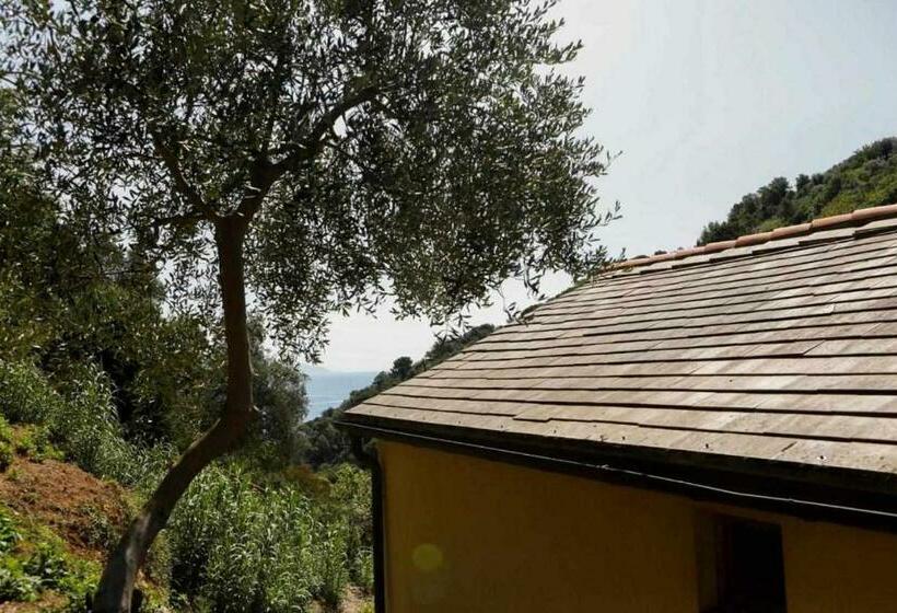 Отель Leremorifugio Escursionistico10 Min Steep Walk