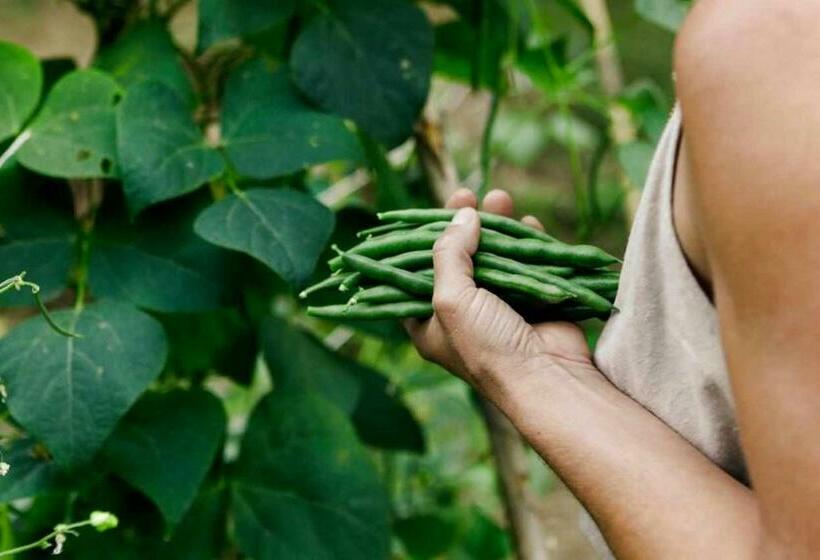 Отель Leremorifugio Escursionistico10 Min Steep Walk