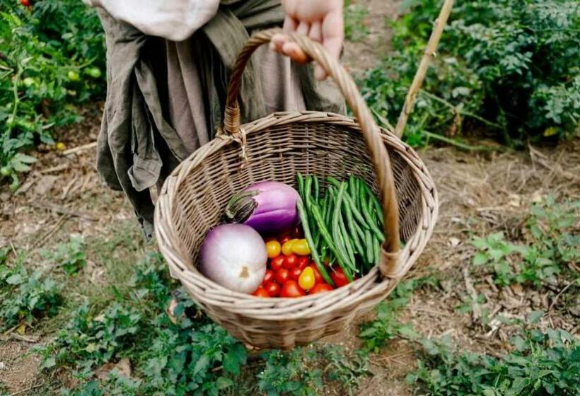 Отель Leremorifugio Escursionistico10 Min Steep Walk