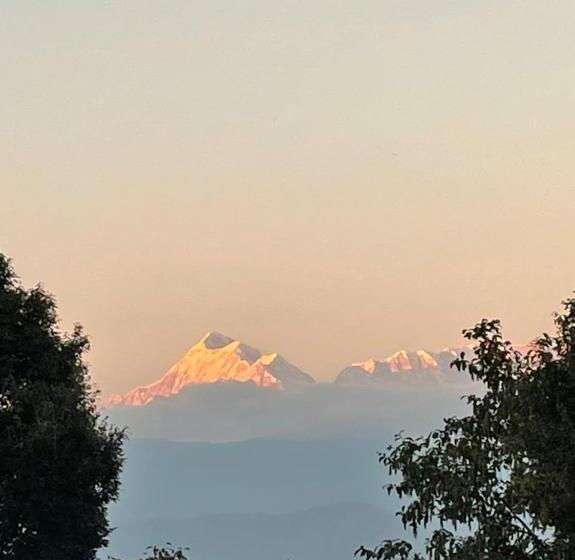 ホテル My Nest Resorts