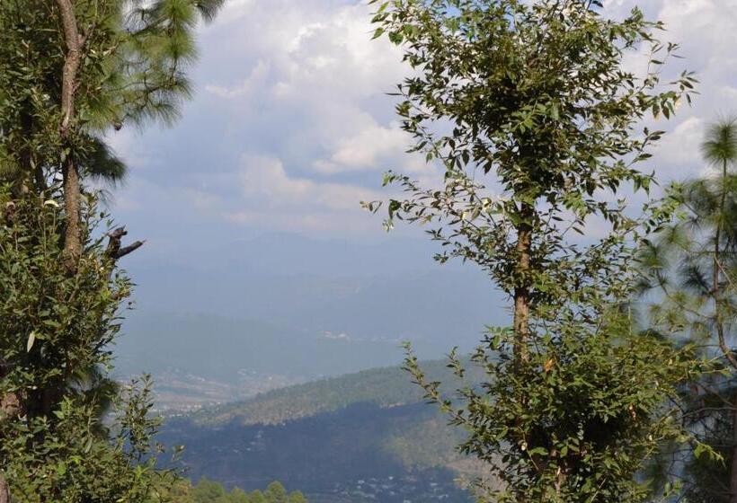 ホテル My Nest Resorts